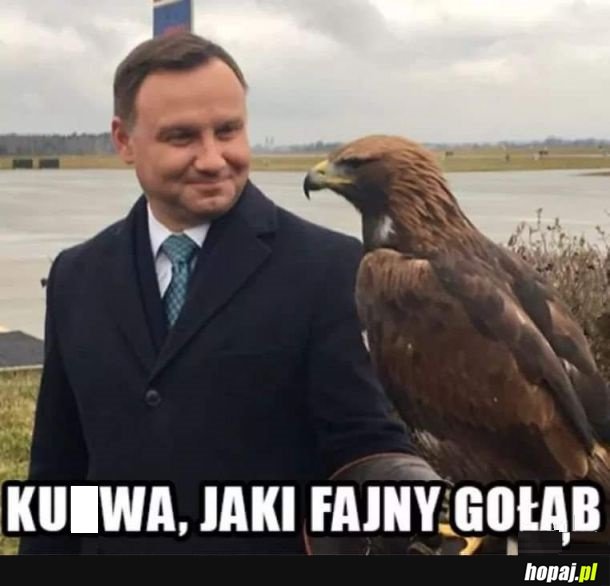Gołomp