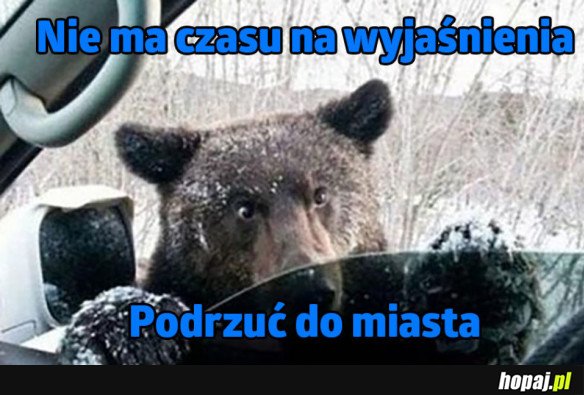 NIE MA CZASU