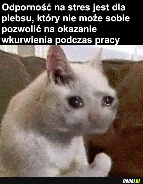 Jak masz stanowisko to możesz nakrzyczeć