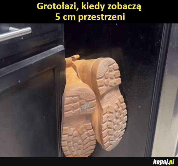 Grotołazi