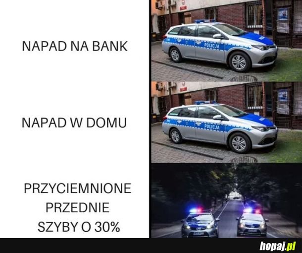 Typowa policja