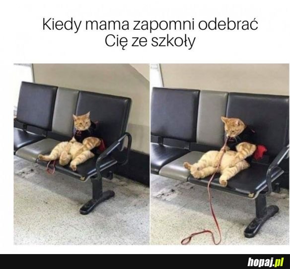 MAMA :')
