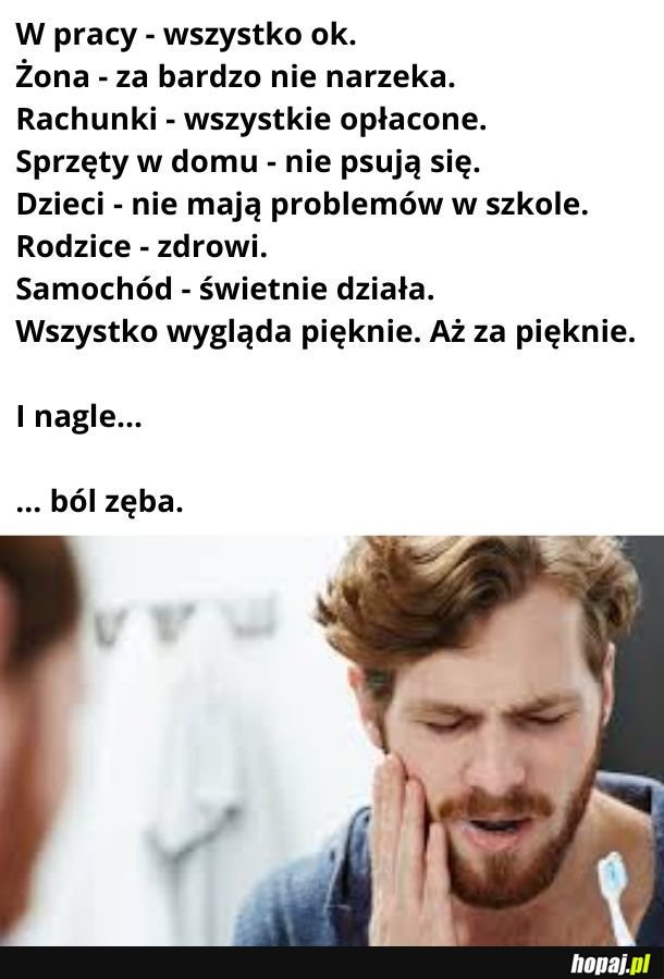 Ząb zupa zębowa. Dąb zupa dębowa.