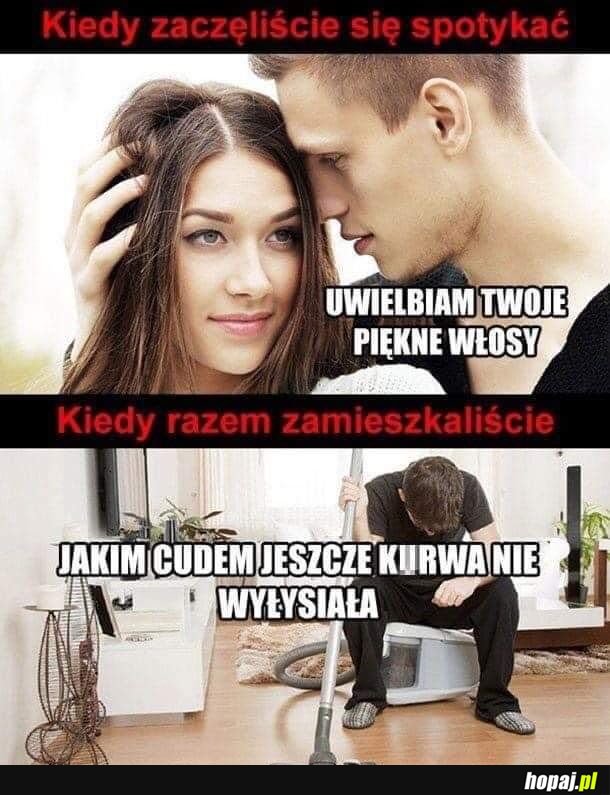 Laski linieją na wiosnę, lato, jesień i zimę.