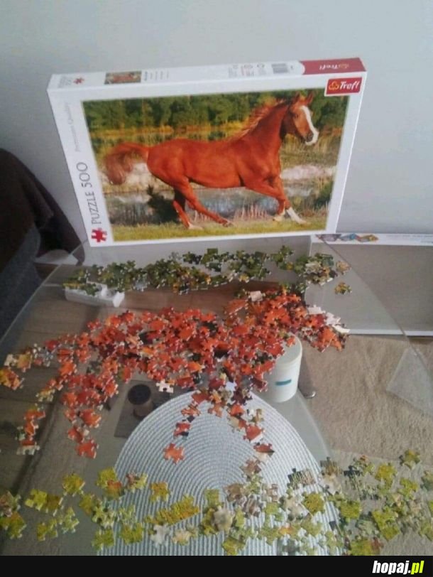 Puzzle to moja pasja