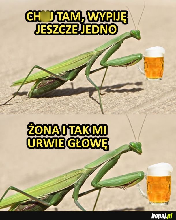 Na jedno wyjdzie