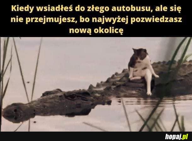 Pomyłka