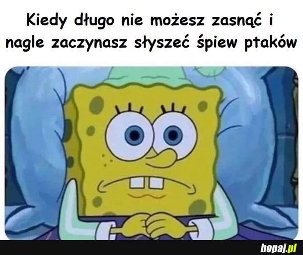 Ćwir, ćwir