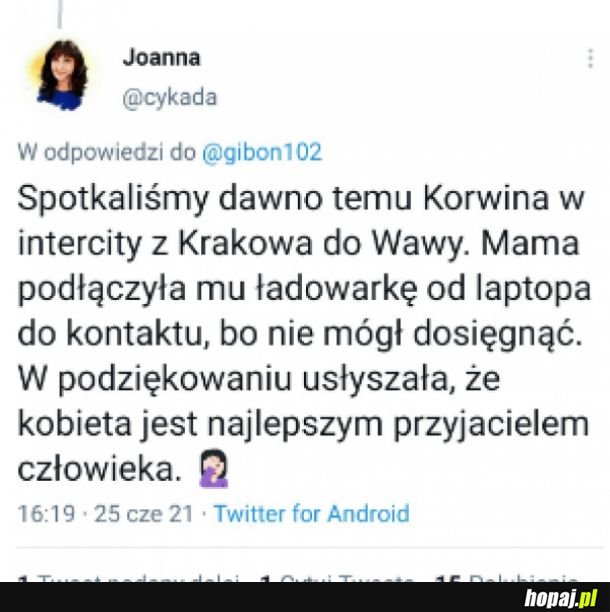 Korwin