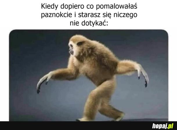 Paznokcie