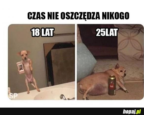 Pieseł
