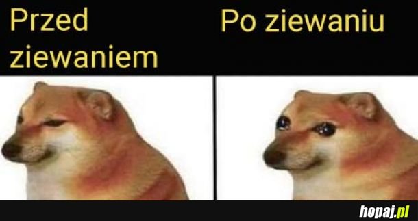 Łezki