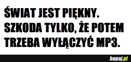 Świat jest piękny