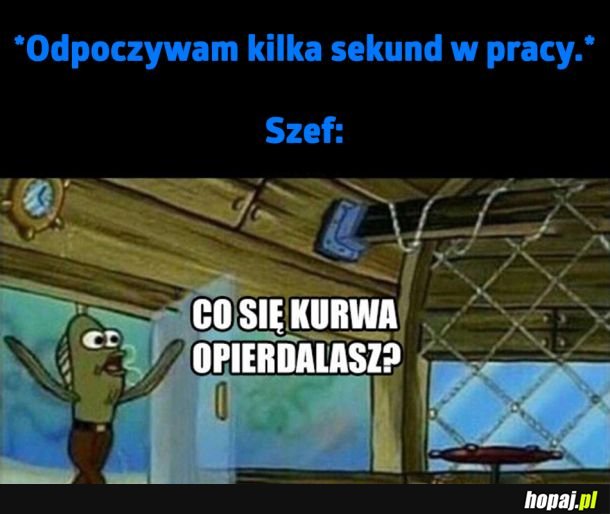 Za każdym razem