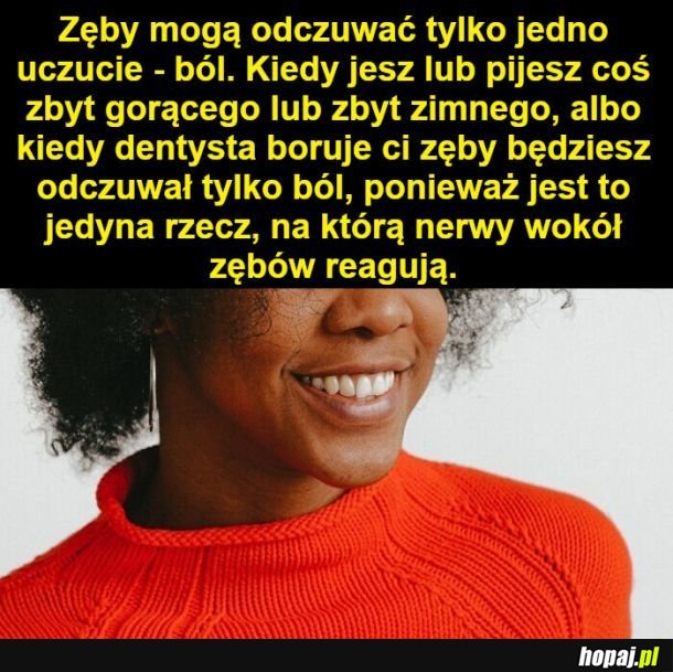 Porcja ciekawostek, o których być może nie słyszeliście