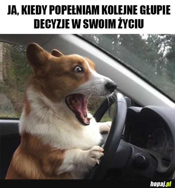 KOLEJNE GŁUPIE DECYZJE