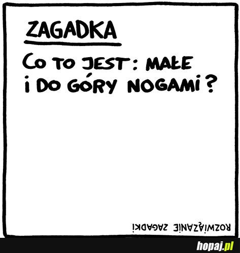 Zagadka ;)