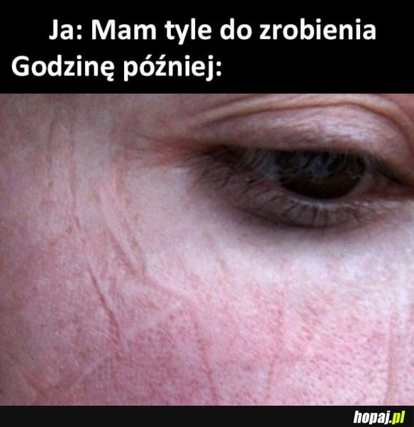 PEDEKA