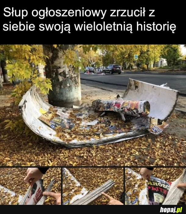 Niczym wąż skórę