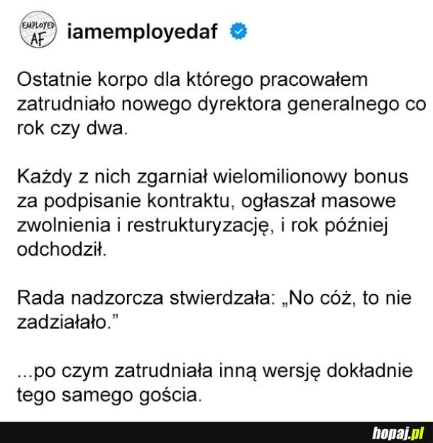 Zawód dyrektor