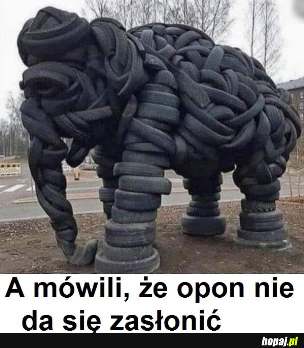 Dosłowność