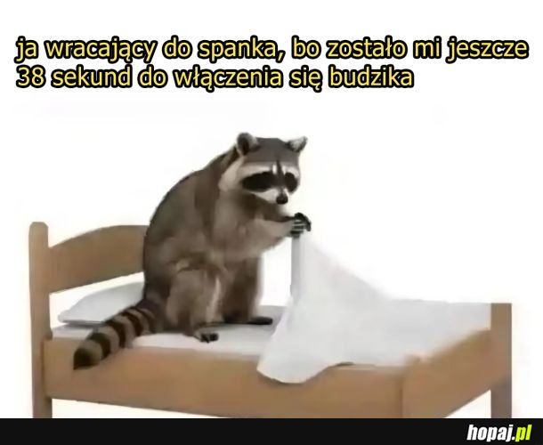 Nie ma czasu do stracenia