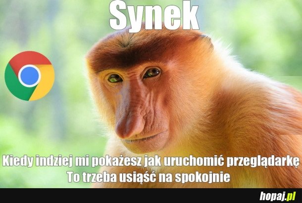 JA NA SZYBKO TO TAK NIE POTRAFIE