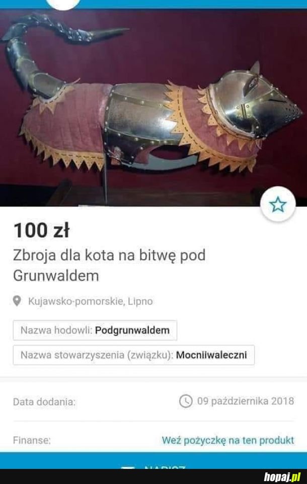 Doskonały prezent dla Mruczka pod choinkę