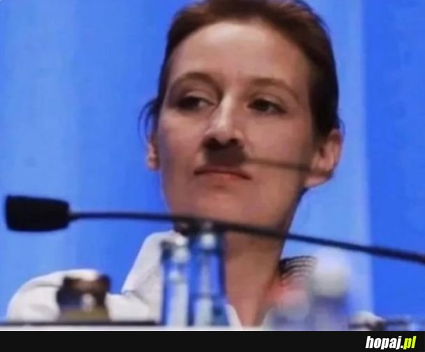 Co za przypadek