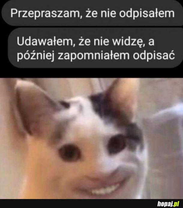 Przynajmniej szczerze