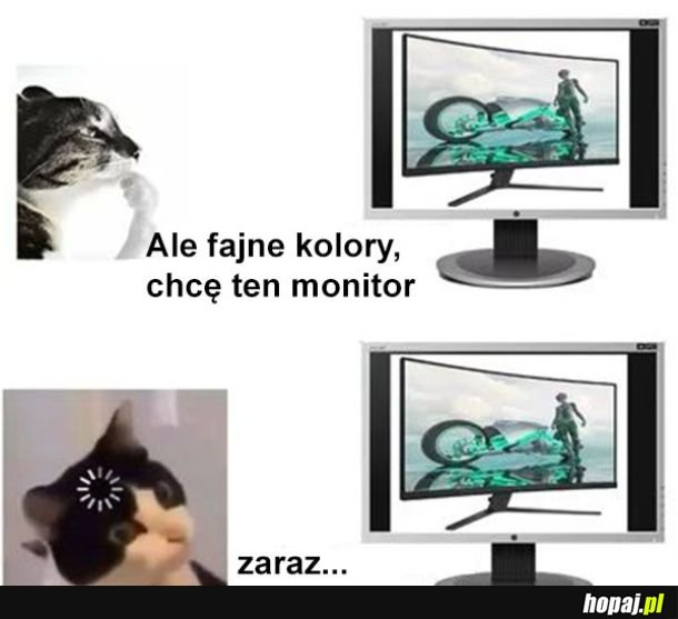 Kupowanie monitora przez internet