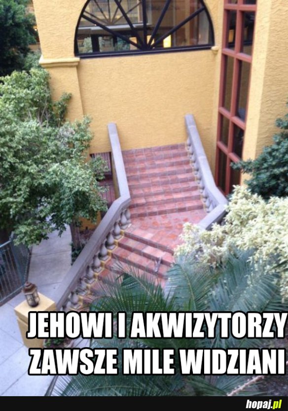 Mogą pukąć