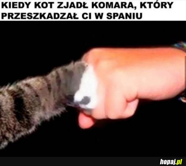 Dzięki