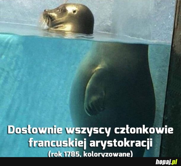 Ważne żeby głowy nie tracić