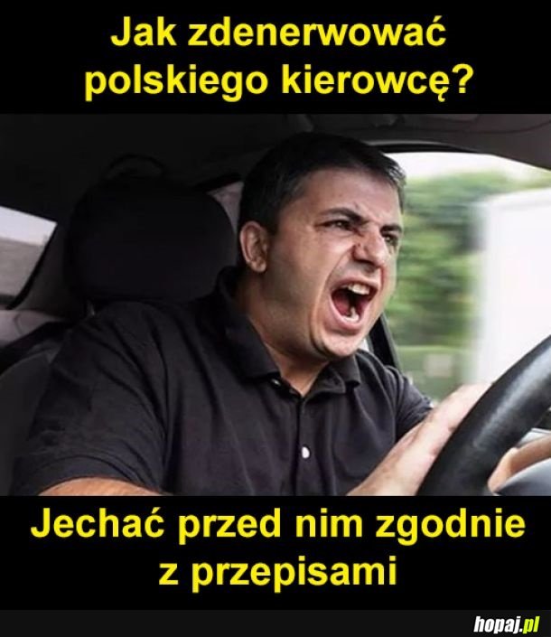 Polski kierowca