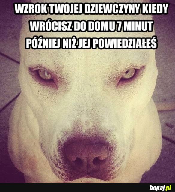 KOBIETA SIĘ WKURZYŁA
