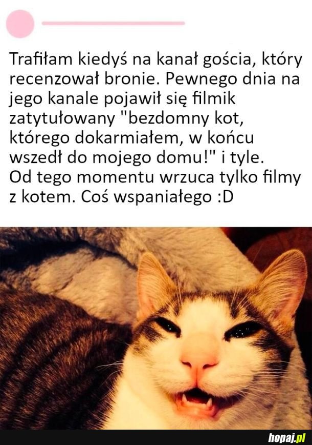 Przemiana