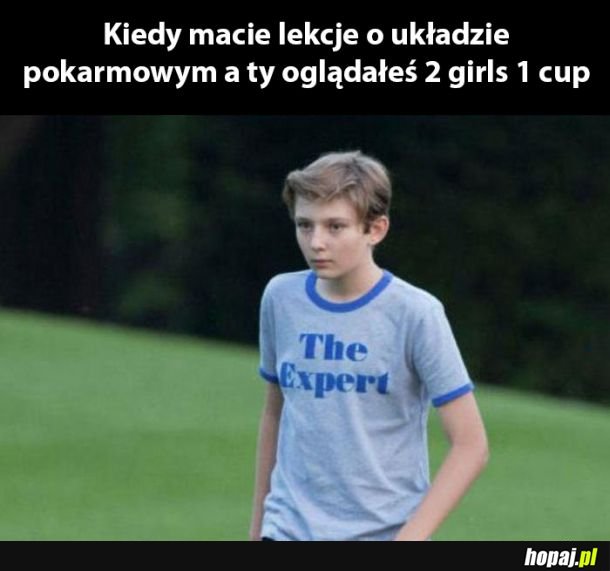 Ekspert 