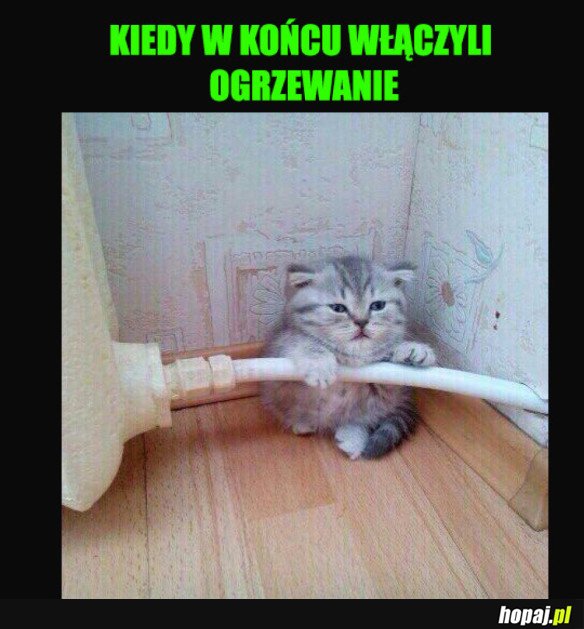 KOTEŁ