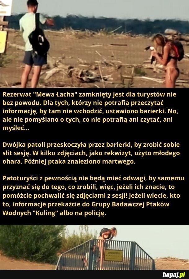 Pomóżmy im pochwalić się zdjęciami z sesji!