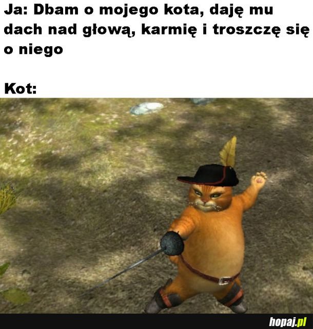 Wdzięczność