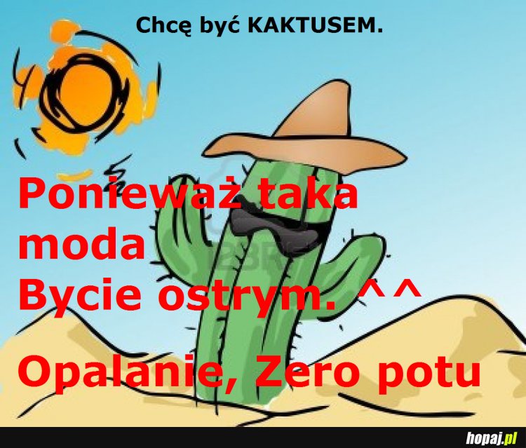 Kaktus!