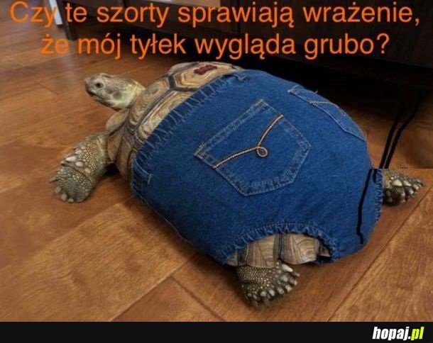 Szorty