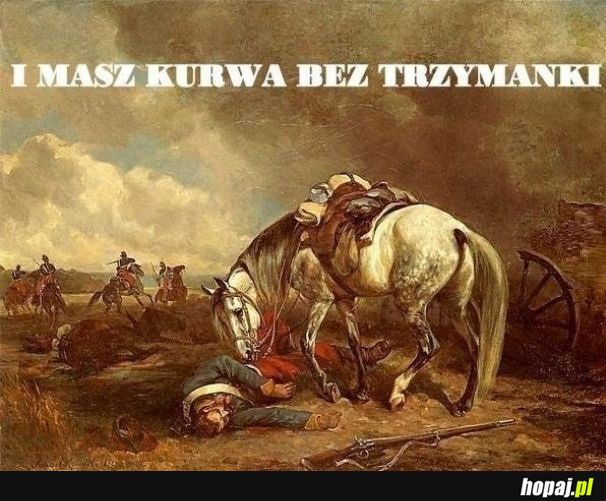 Skończyło się rumakowanie