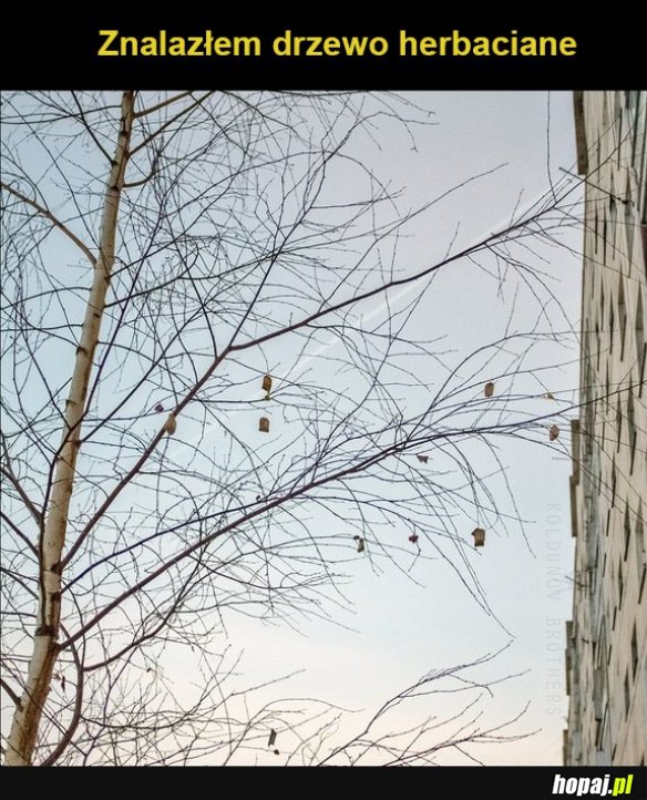 Jednak istnieje
