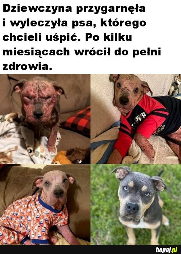 Warto było