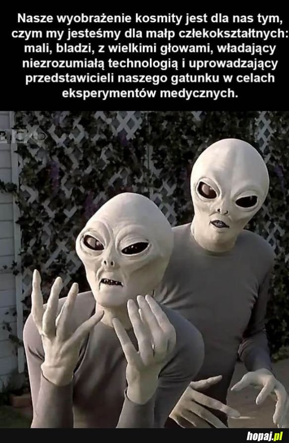A co jeśli tak jest
