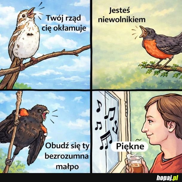 Piękny śpiew ptaków