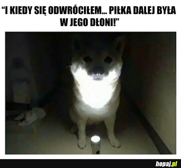 KOSZMAR!