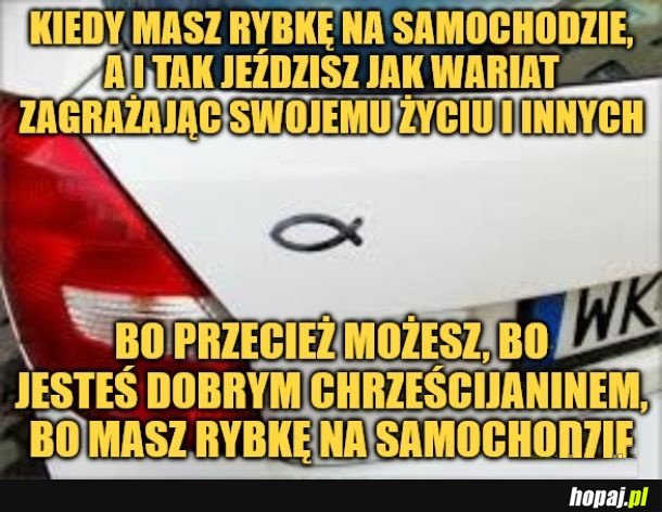 Rybka.